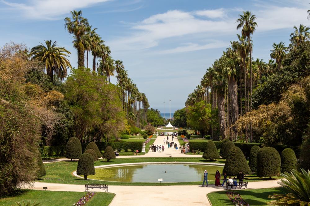 Que voir et que faire à Alger : les 7 incontournables